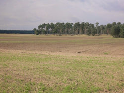 Landwirtschaftliche Nutzfläche