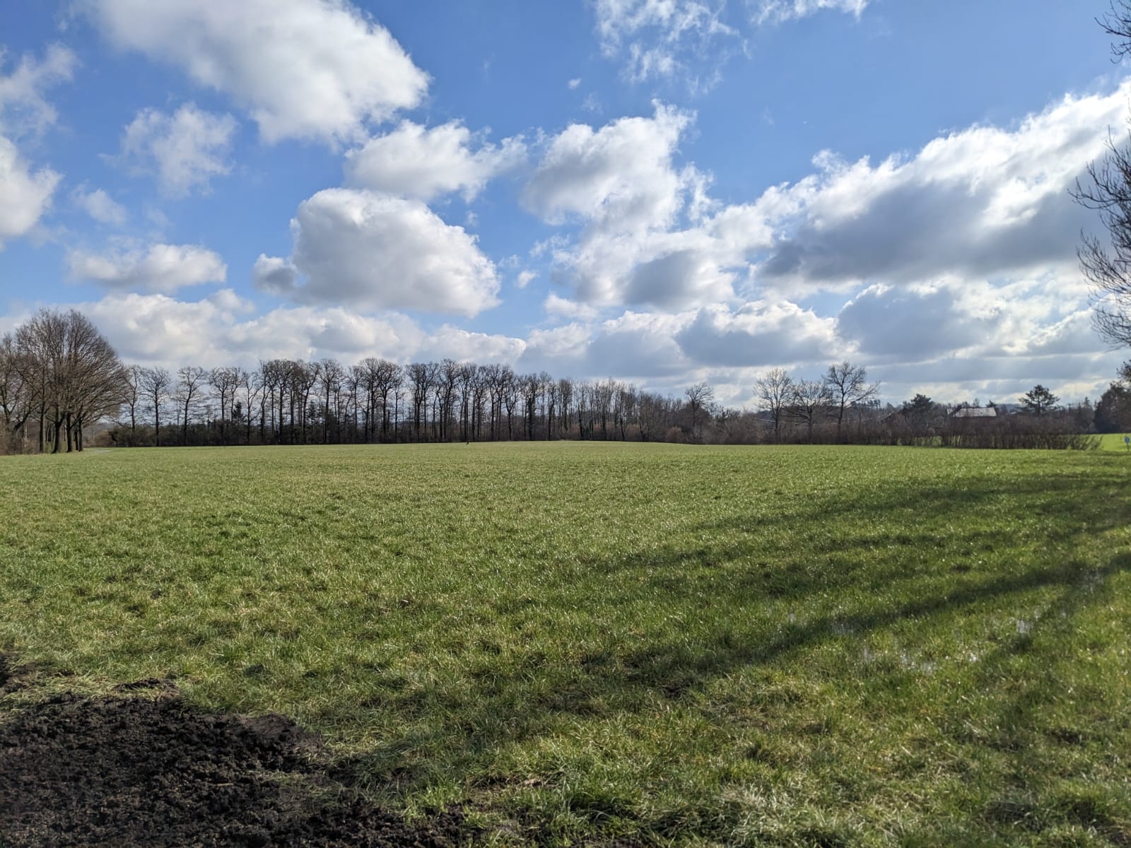 Ackerland kaufen | Agrarboden – deutschlandweit