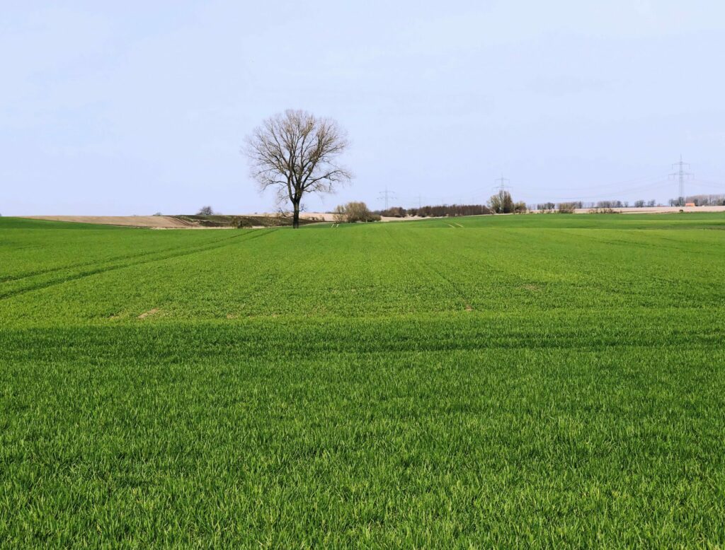 Ackerland kaufen | Agrarboden – deutschlandweit