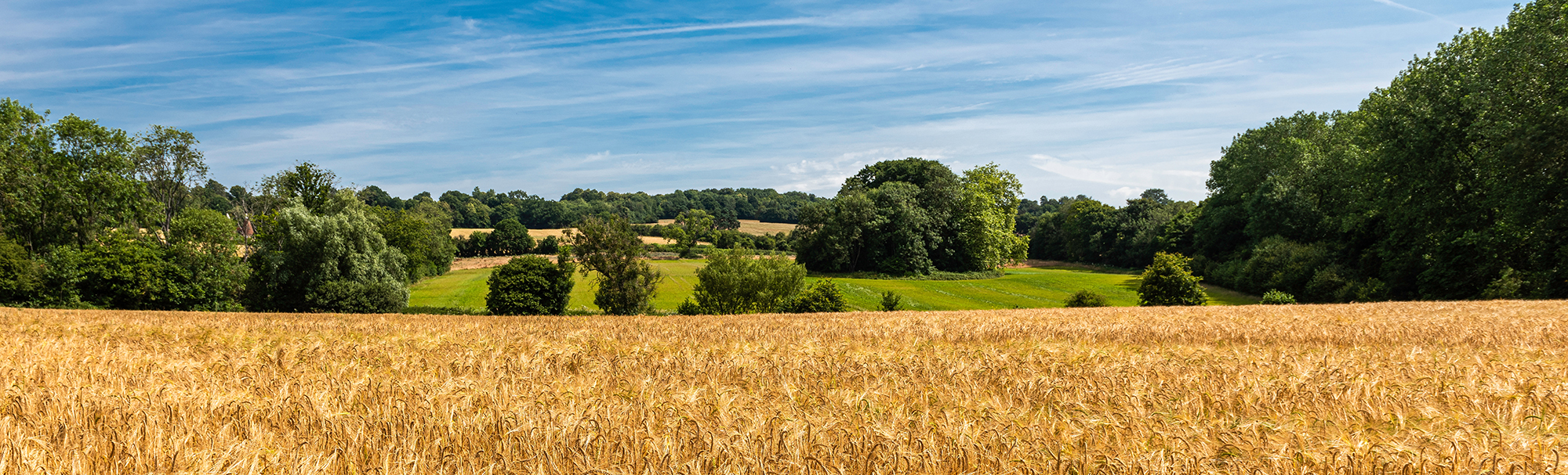 ackerland verkaufen ackerland verkaufen