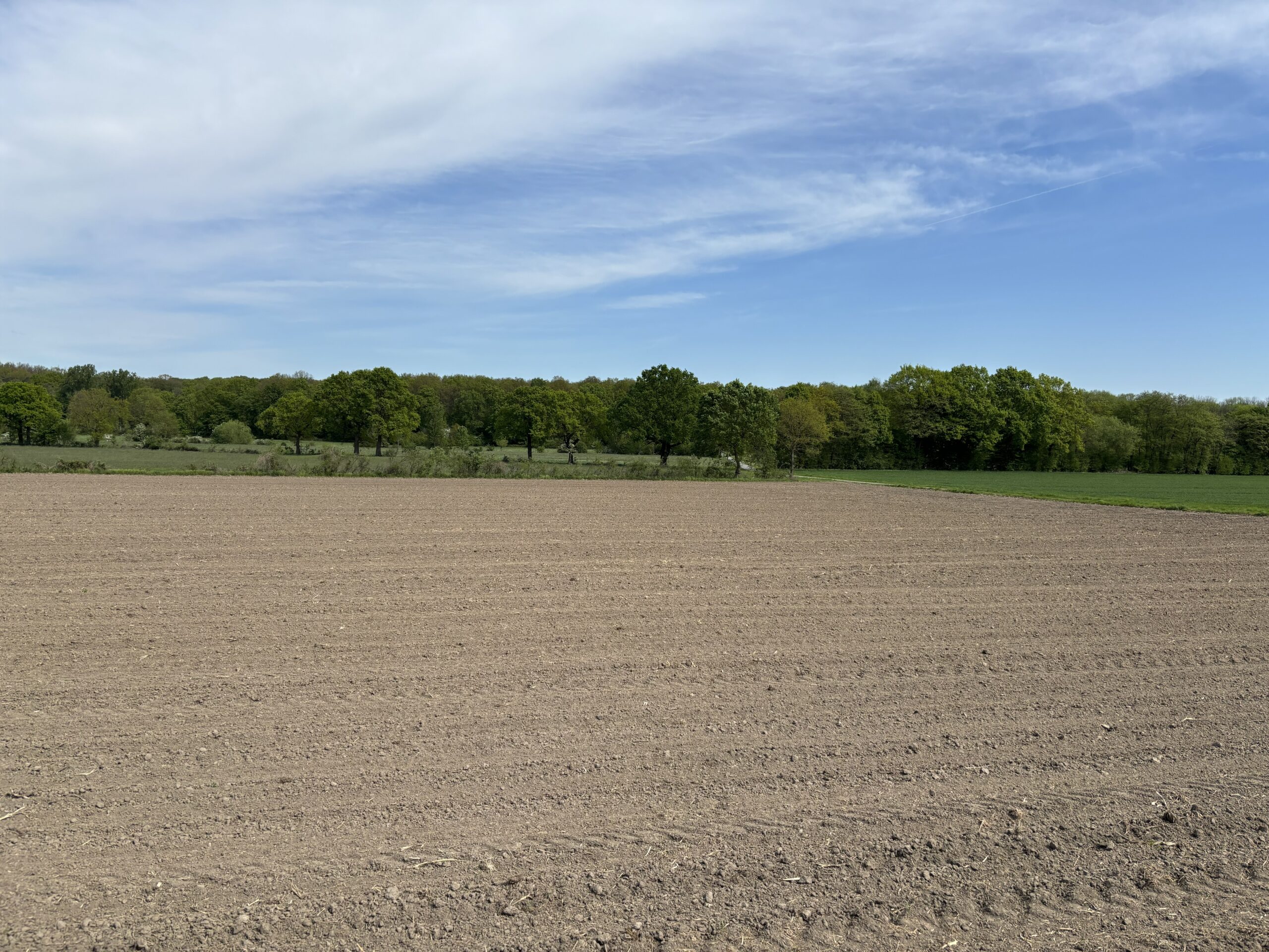 Arrondierte Ackerfläche bei Rahden im Landkreis Minden-Lübbecke – ca. 6,5 ha Ackerland Arrondierte Ackerfläche bei Rahden im Landkreis Minden-Lübbecke – ca. 6,5 ha Ackerland