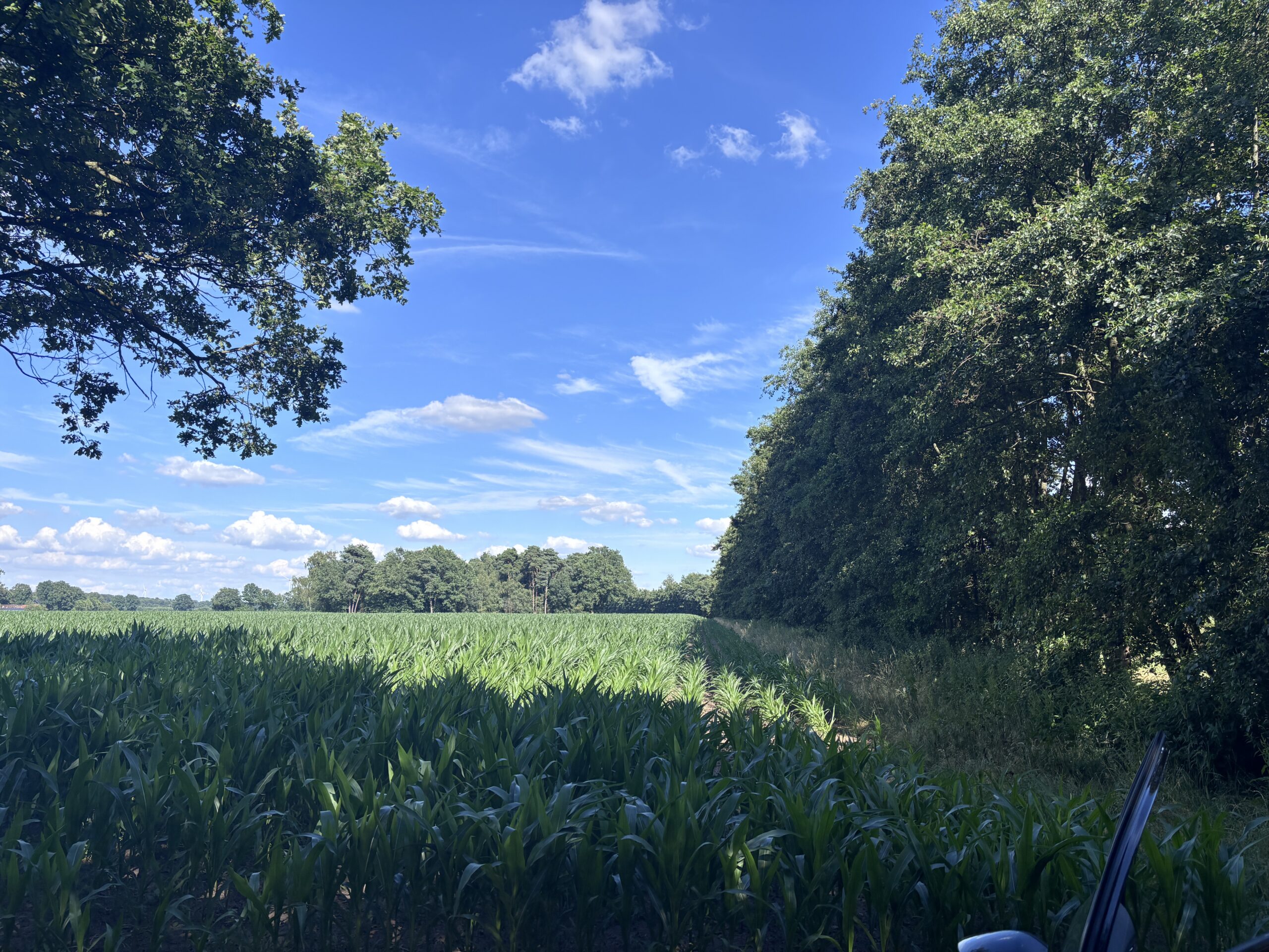 Landwirtschaftliche Nutzfläche kaufen im Landkreis Uckermark – ca. 20 ha arrondiert